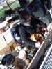 17 octobre 2010 Hondschoote photo 12